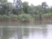 foto/diskuze/slovensko/2010/th-img35418.jpg