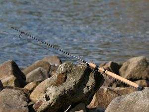 Daiwa Infinity-Q Ultralight 240 cm / 1-9 g