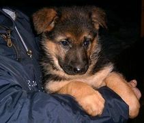 01896/037/chytej.cz-01896-00000176.jpg