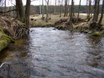 02019/1042/chytej.cz-02019-00007933.jpg