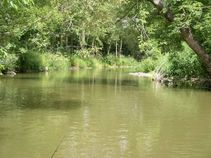 02367/533/chytej.cz-02367-00003566.jpg