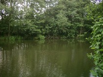 02906/3203//chytej.cz-02906-00024400.jpg