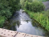 04188/995/chytej.cz-04188-00007523.jpg