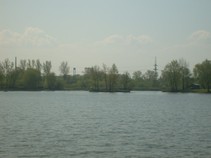 09816/3741//chytej.cz-09816-00028285.jpg