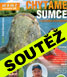 TIPUJTE co znamená banner FOR FISHING uvodni.jpg