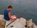 Rybaření v Chorvatsku